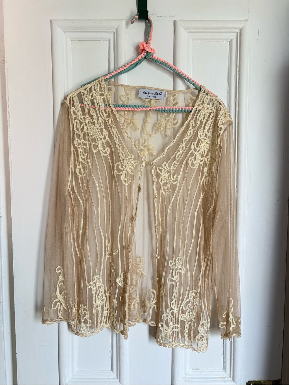 Sheer Beige Button Up Blouse with Embroidered Details and Trim